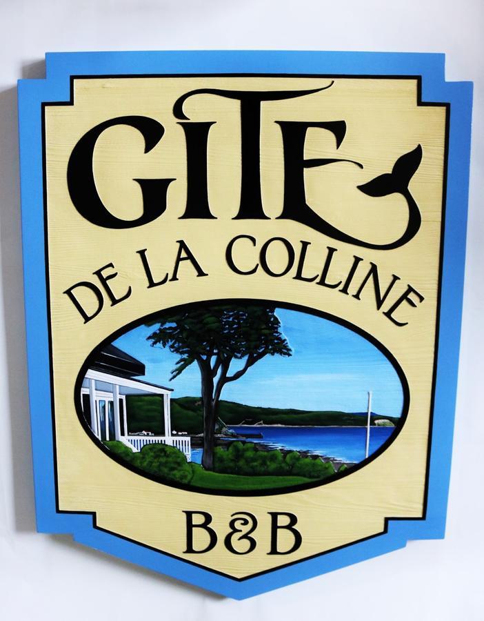 بيه سانت كاترين Gite De La Colline المظهر الخارجي الصورة